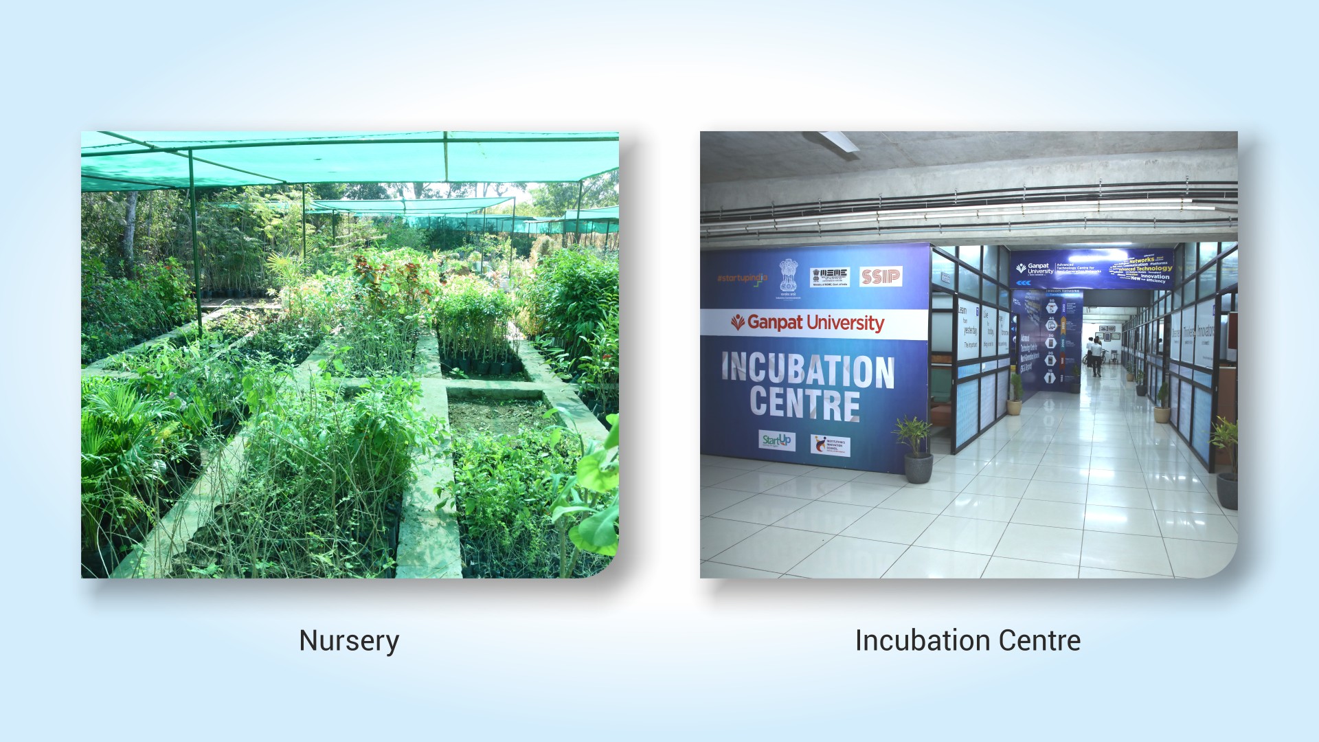 Sustainable Initiative 01