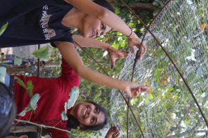 Ferro Cement Workshop