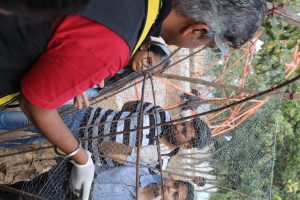 Ferro Cement Workshop