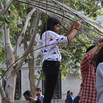 FERRO-CEMENT WORKSHOP