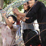 FERRO-CEMENT WORKSHOP