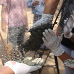 FERRO-CEMENT WORKSHOP