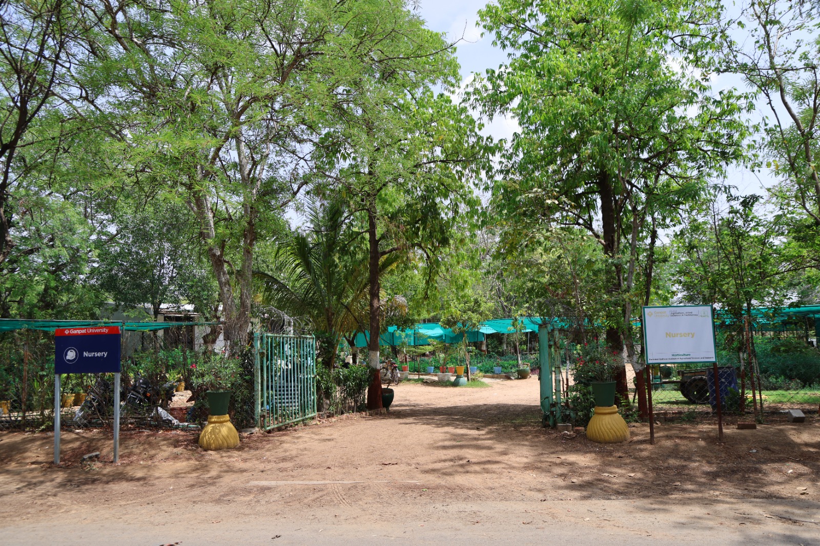 Nursery 2