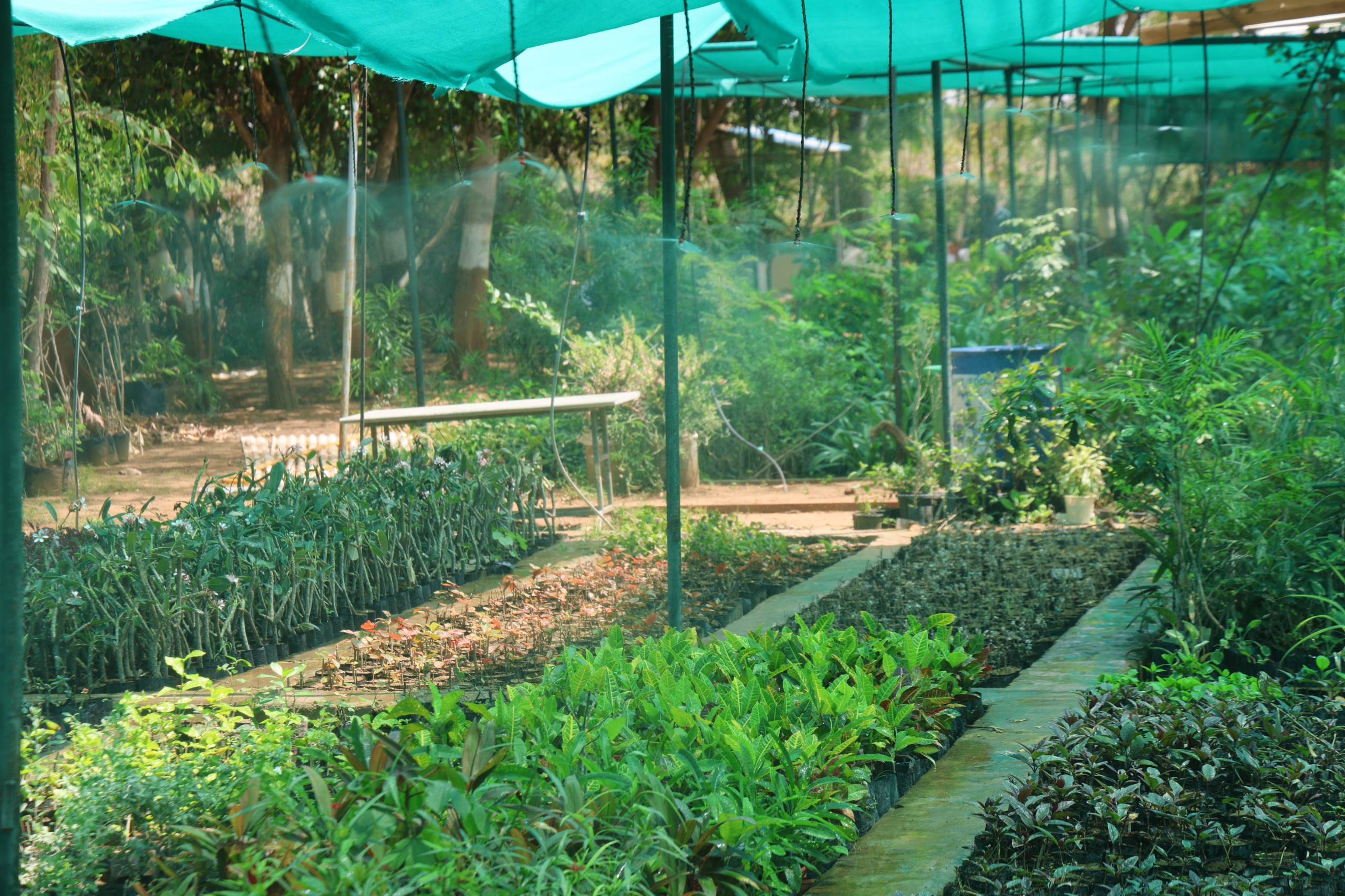 Nursery 1