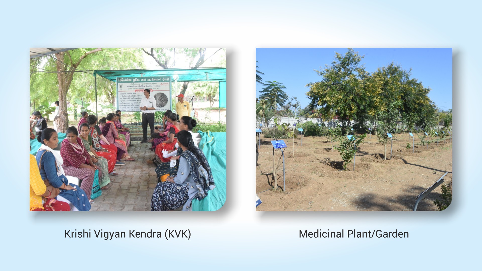 Our Sustainable Initiatives