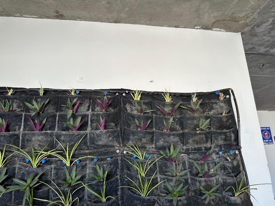 Development of Vertical Bio Wall at KKIASR