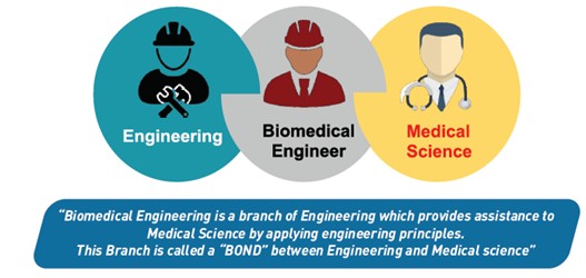 About Biomedical Engineering